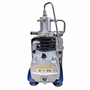 Поршневой компрессор Frosp КВД PCP 30 Поршневой компрессор Frosp КВД PCP 30 фото